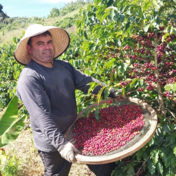 Arara do Cléverson Fagundes